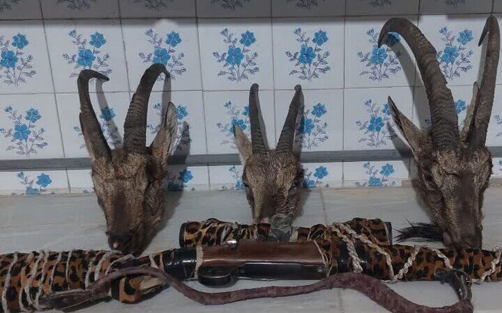 شکارچیان متخلف در اردکان زیر ذره‌بین؛ دستگیری در کوه‌های برفی درند