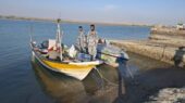 توقیف قایق ترال ۸۵ اسب بخار در آب‌های شرق جاسک؛ دستگیری ۳ صیاد غیرمجاز در عملیاتی جنجالی!