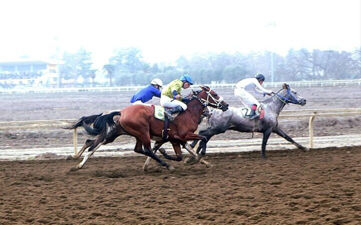 سهراب دهش؛ چابکسوار بی‌رقیب هفته هفتم اسبدوانی گنبدکاووس!