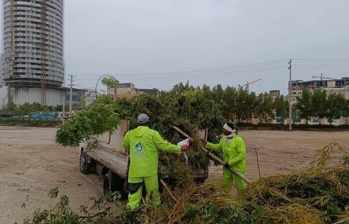 طوفان سهمگین قشم، هزاران درخت را ریشه‌کن کرد و خسارت میلیاردی برجای گذاشت!