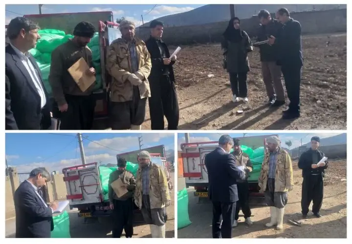 بازدید ویژه مسئولان از روند حساس توزیع آرد در روستاهای هرسین؛ عدالت در اولویت است
