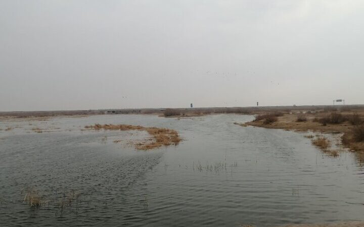 تالاب صالحیه دوباره جان گرفت؛ آغاز آبگیری زمستانه و امید به بازگشت پرندگان مهاجر