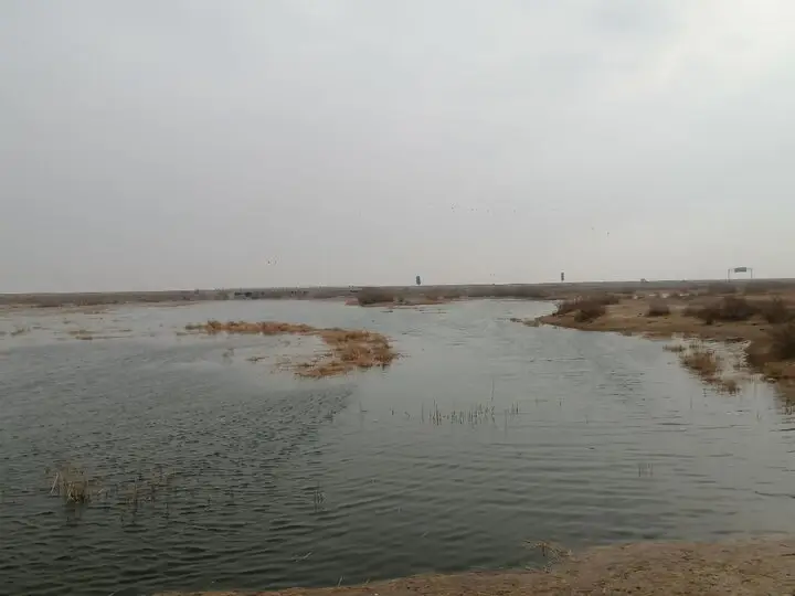 تالاب صالحیه دوباره جان گرفت؛ آغاز آبگیری زمستانه و امید به بازگشت پرندگان مهاجر