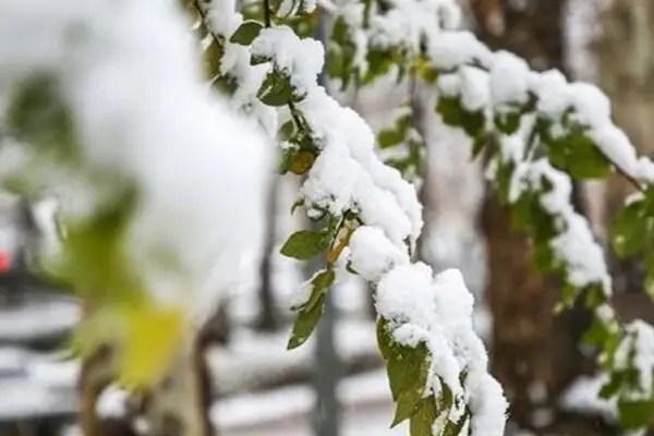 بارش برف مناطقی از اصفهان را فرا می‌گیرد؛ صدور هشدار سطح زرد هواشناسی