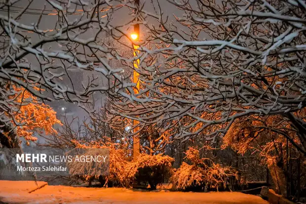 رحمان نیا: هوای سرد و یخبندان استان زنجان را فرا می گیرد