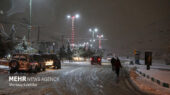 بارش سنگین برف در شهرستان پاوه