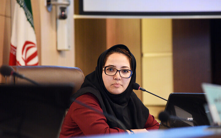 دهقانی: المپیاد ملی آموزش هنر در فارس برپا می‌شود