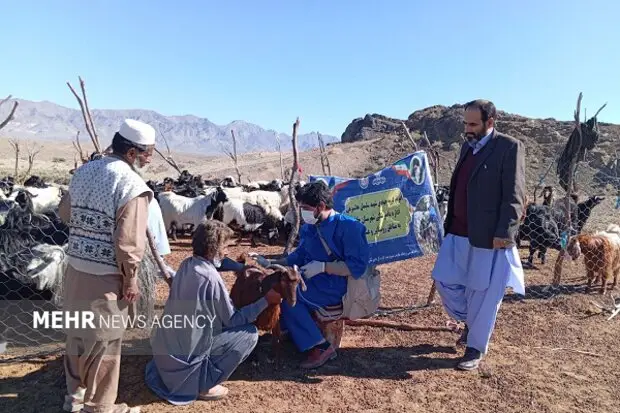 خدمت رایگان دامپزشکی به عشایر روستاهای ایرندگان خاش