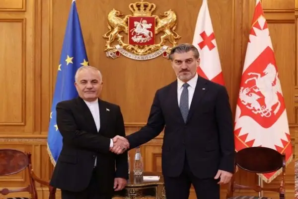 سفیر ایران در پایان ماموریت خود با رئیس‌جمهور گرجستان دیدار کرد