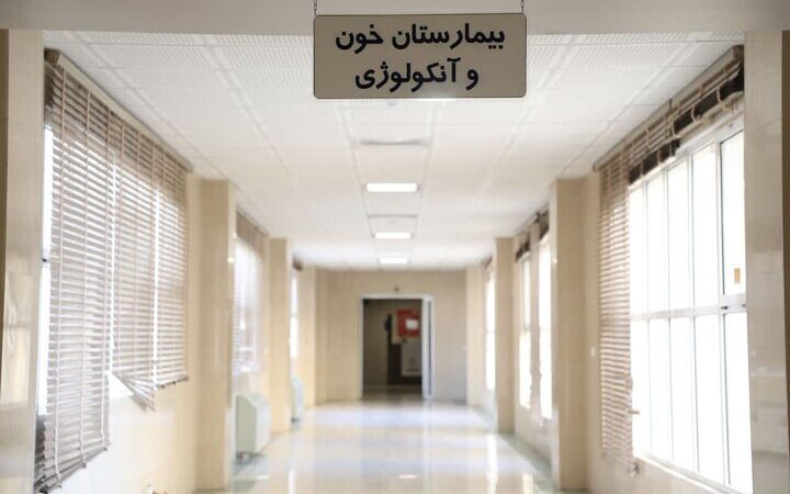 دهقان: ۶۰ پیوند موفقیت آمیز مغز استخوان در یزد انجام شد