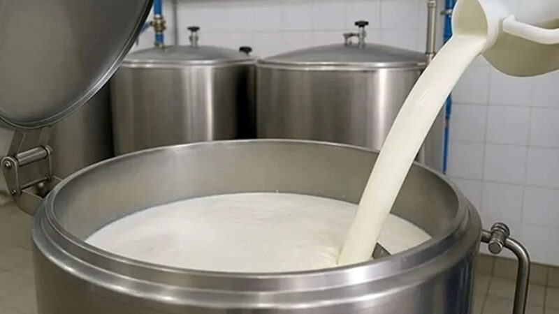 قیمت شیر خام در ۵ ماه، به اندازه ۵۰ سال گران شد!