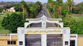 صعود شگفت‌انگیز دانشگاه صنعتی جندی‌شاپور دزفول در عرصه پژوهش؛ 17 رتبه جهش در یک چشم‌انداز نوین!