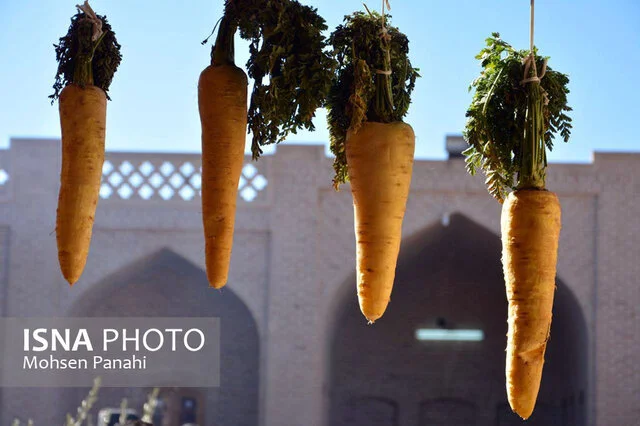لغو ناگهانی جشنواره زردک خرانق به خاطر هشدارهای شدید هواشناسی؛ سلامت مردم در اولویت!