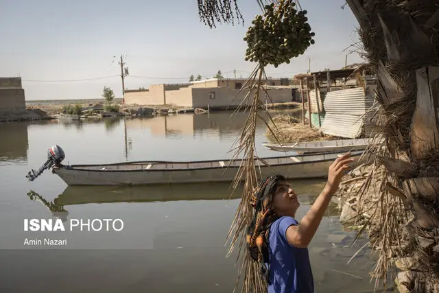 سفر ویژه کمیسیون اجتماعی مجلس به شادگان؛ آیا مشکلات کهنه این شهرستان حل می‌شود؟