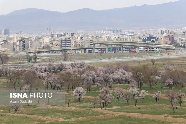 چگونه باغستان‌های سنتی قزوین، نفس تازه‌ای به هوای شهر می‌بخشند؟