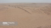 ۱۴ میلیون هکتار از زمین‌های ایران قربانی بیابان‌زایی؛ هشدار جدی منابع طبیعی