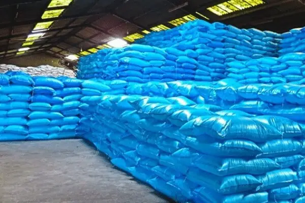 هشدار جدی درباره تهدید امنیت غذایی؛ چرا ارز سم و کود در ۵ ماه تامین نشد؟