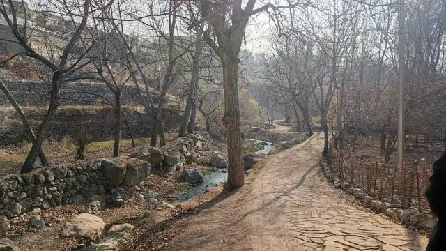 راه‌اندازی اولین قرارگاه تخصصی کوهستان در روددره فرحزاد تهران؛ فرصت طلایی برای کوهنوردان پایتخت