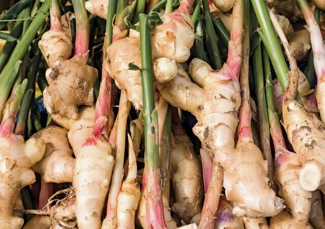 راز زنجبیل در کنترل فشار خون بالا که نمی‌دانستید!