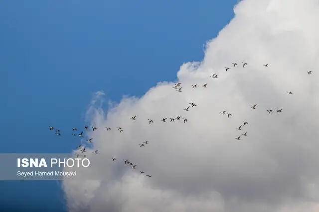 وضعیت «قابل قبول» هوا در ۱۴ شهر خوزستان