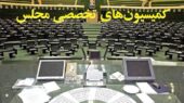 کمیسیون‌های مجلس این هفته دنبال چه موضوعات داغی هستند؟ از دارو تا نهاده‌های دامی زیر ذره‌بین!