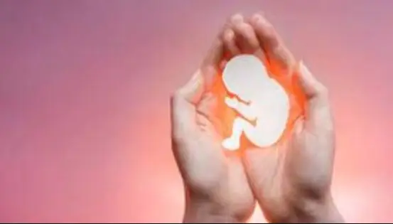 نجات معجزه‌آسای بیش از ۷۰۰ نوزاد از چنگال سقط در استان مرکزی؛ طرحی که زندگی ساخت!