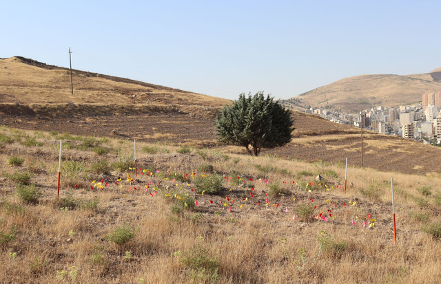 سرنوشت محوطه باستانی یک میلیون ساله کرمانشاه پس از ثبت ملی چه خواهد شد؟