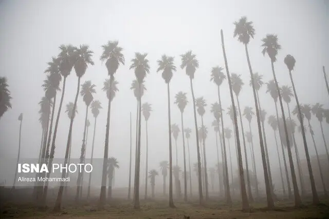 هشدار نارنجی درباره مه غلیظ و کاهش دید در خوزستان؛ ترددها را جدی بگیرید!