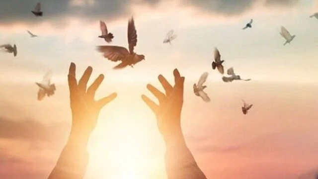 آزادی ۱۱۳ محکوم با دستور ویژه دادستان تهران؛ پشت پرده این اقدام چیست؟