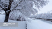 بارش بی‌سابقه ۵۰ سانتی‌متری برف در قلب ابیانه؛ روستاها سفیدپوش شدند!