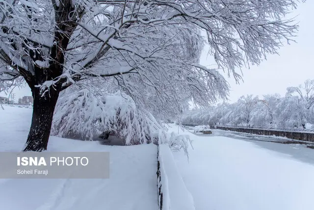 بارش بی‌سابقه ۵۰ سانتی‌متری برف در قلب ابیانه؛ روستاها سفیدپوش شدند!