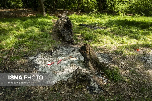 جنگل‌های هیرکانی در آتش بی‌توجهی گردشگران؛ مازندران در بحران شدید!