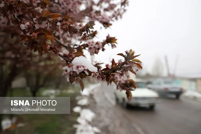 بارش برف و باران در قزوین؛ آیا زمستان زودهنگام آغاز می‌شود؟