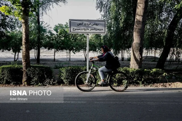 چرا سرنوشت ۱۳۸ هکتار زمین برای پارک جنگلی بوشهر هنوز در هاله‌ای از ابهام است؟