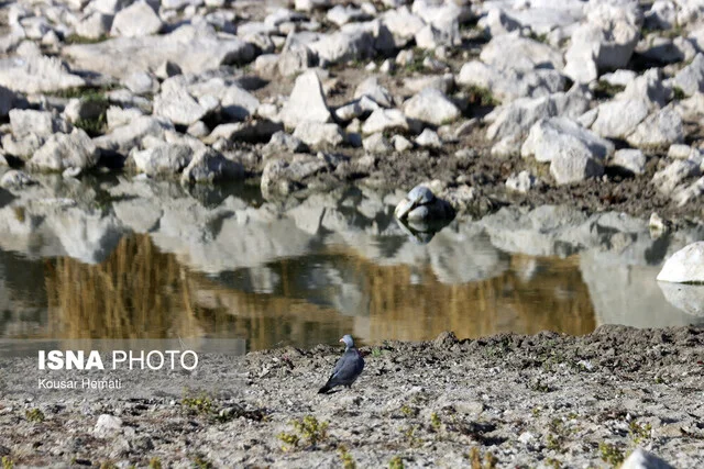 بارش‌های اخیر کرمانشاه، نویدبخش احیای سراب‌های فراموش‌شده از دی ماه!