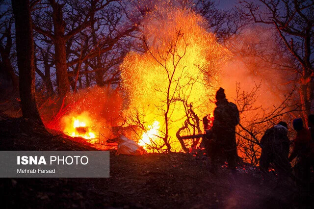 کمیسیون شوراها: دخالت انسانی علت اصلی آتش‌سوزی جنگل‌های هیرکانی
