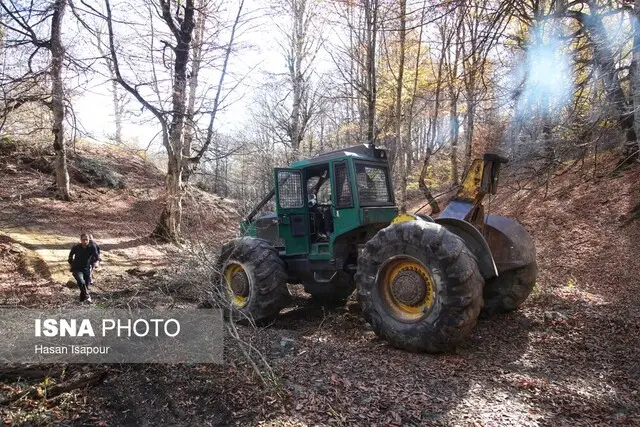 نجات سوادکوه از شعله‌های سهمگین آتش با تلاش نفس‌گیر تیم‌های حفاظتی