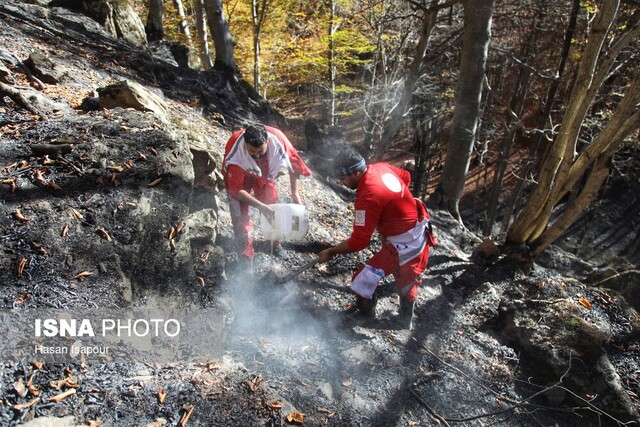 فرماندار ساری از مهار شگفت‌انگیز آتش‌سوزی جنگل‌های مرزی در کمتر از ۹ ساعت خبر داد