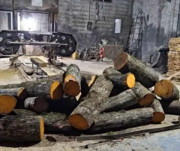 کشف حیرت‌انگیز ۱۵ تن چوب قاچاق جنگلی در آمل؛ دستگیری متخلفان در عملیات ویژه