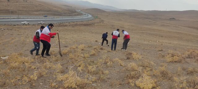 کشت هزاران نهال بادامک و ارژن در ۲۰ هکتار گردنه زاغه؛ طلوعی دوباره در دل طبیعت ملایر