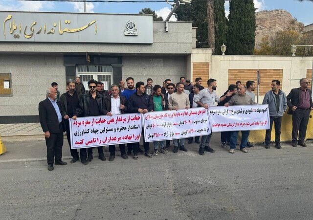 مرغداران ایلام مقابل استانداری تجمع کردند؛ کمبود سویا تهدیدی جدی برای امنیت غذایی استان