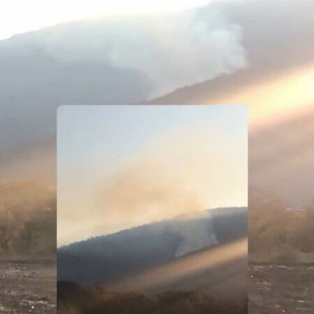 آتش‌سوزی جنگل‌های کلاله؛ نیروهای یگان حفاظت در حال نبرد با شعله‌ها!