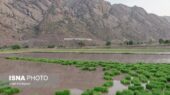 مصرف آب در کشاورزی به نقطه پیش‌بینی شده ۱۴۱۱ رسید؛ آیا منابع پایدار می‌ماند؟