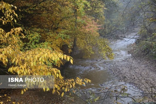 ورود سامانه بارشی قدرتمند به جنوب کشور؛ بارش‌های گسترده از امروز آغاز می‌شود