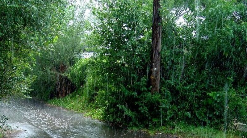 بارش بی‌سابقه ۷۹ میلی‌متری در تالش گیلان؛ طبیعت غافلگیر شد!
