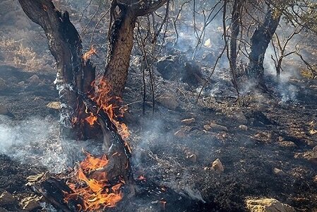 عملیات نفس‌گیر مهار آتش در نراب جیرفت به لحظه‌های پایانی رسید