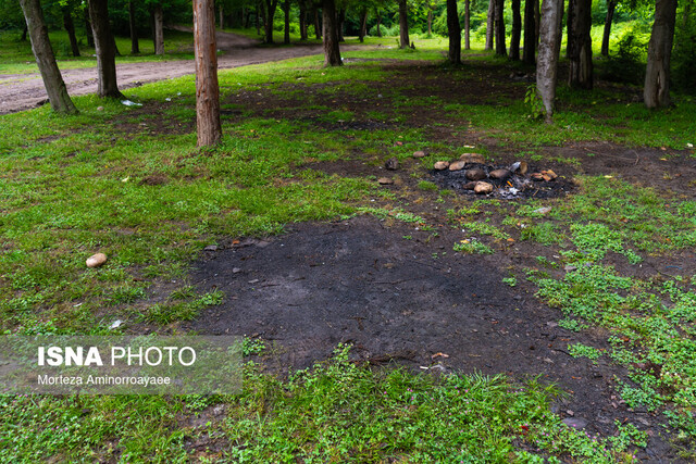 چرا حفاظت از خاک، کلید سلامت و بقای انسان است؟