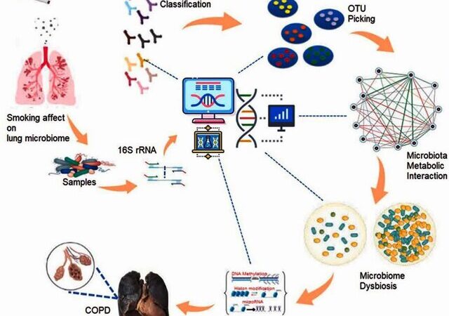 دانشمندان دانشگاه تهران رمز تازه‌ای برای درمان بیماری سخت ریه کشف کردند!