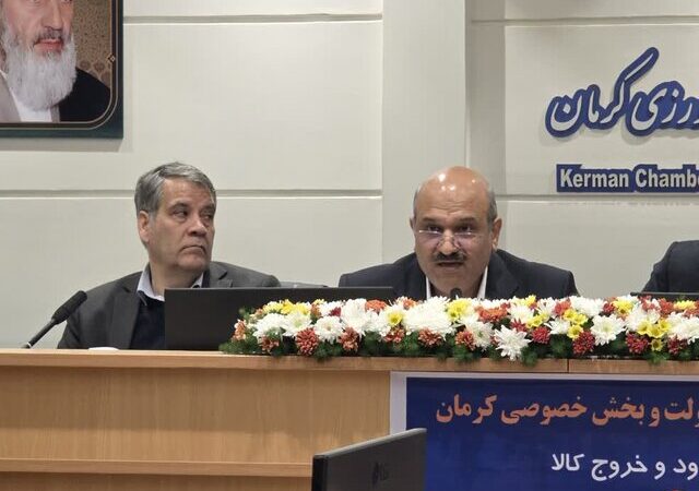 معاون گمرک: بخش خصوصی باید نقش سیاست‌گذاری را به دست بگیرد تا مشکلات واردات و صادرات حل شود!