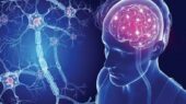 چرا بیماری‌های عصبی مردان و زنان اینقدر متفاوت ظاهر می‌شوند؟